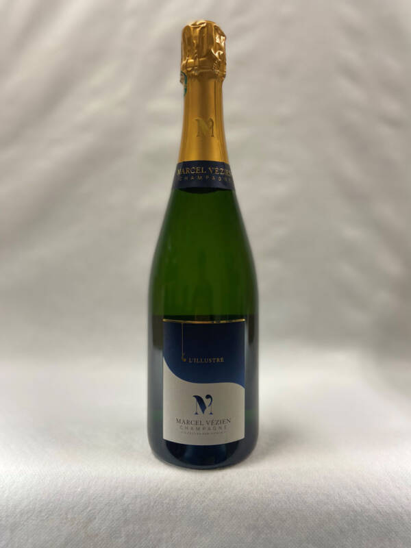 MARCEL VÉZIEN L’ILLUSTRE BRUT